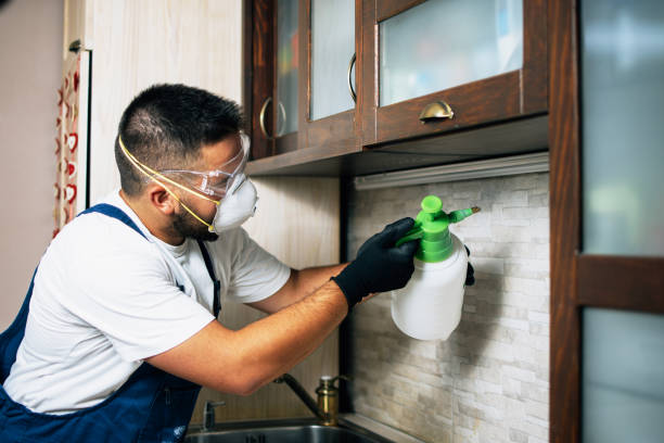 Best Pest Prevention Services  in International Falls, MN