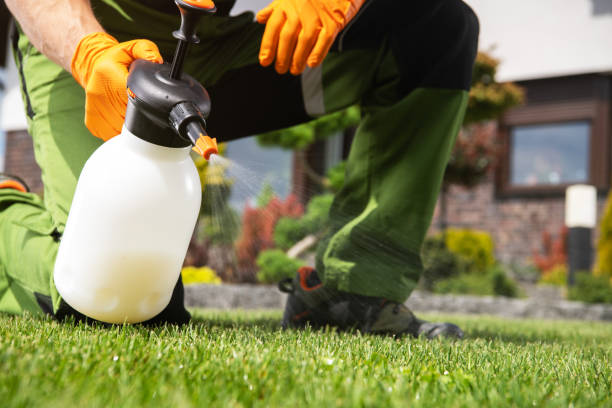 Best Residential Pest Control  in International Falls, MN