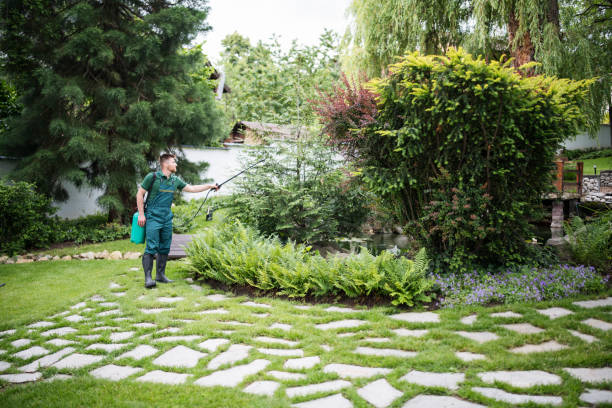 Best Commercial Pest Control Services  in International Falls, MN