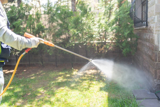 Best Mosquito Control Services  in International Falls, MN