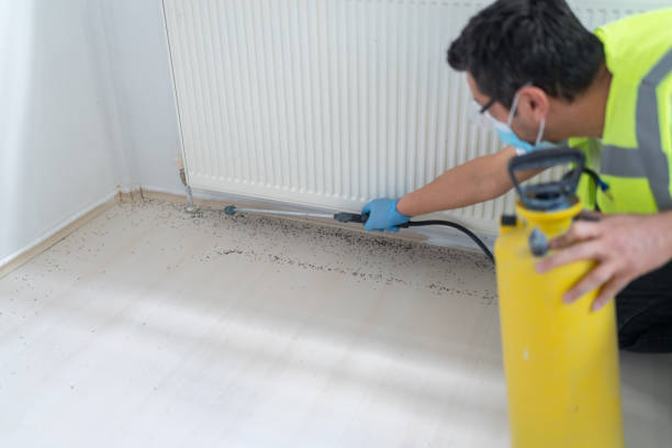 Best Emergency Pest Control  in International Falls, MN